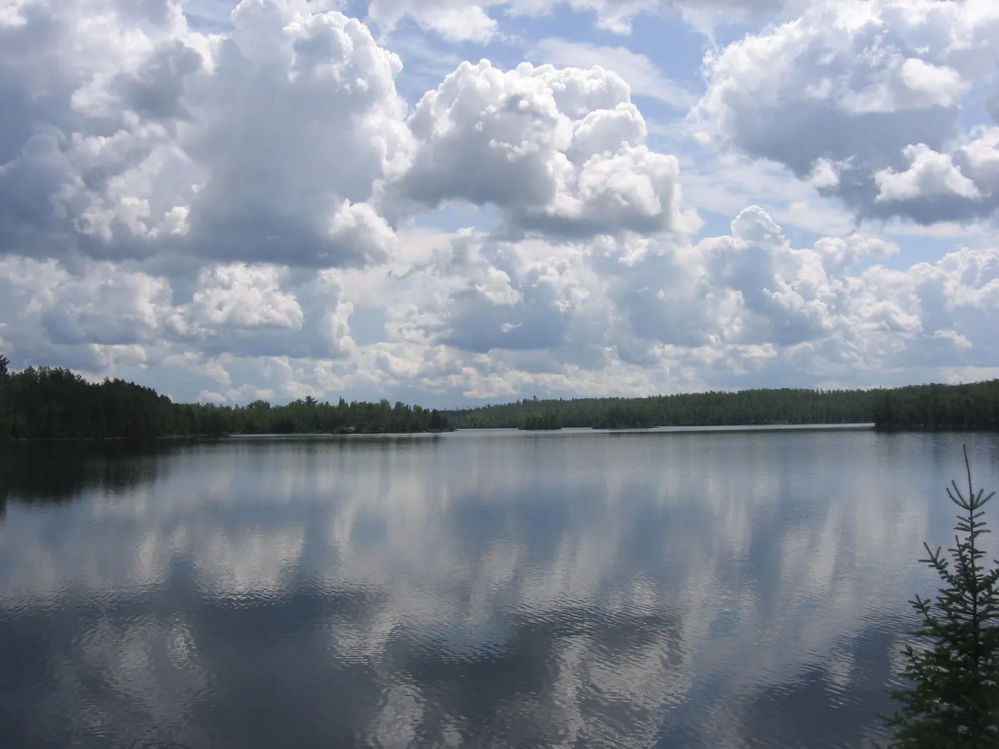 Still Boundary Waters lake reflecting summer clouds and a line of pines